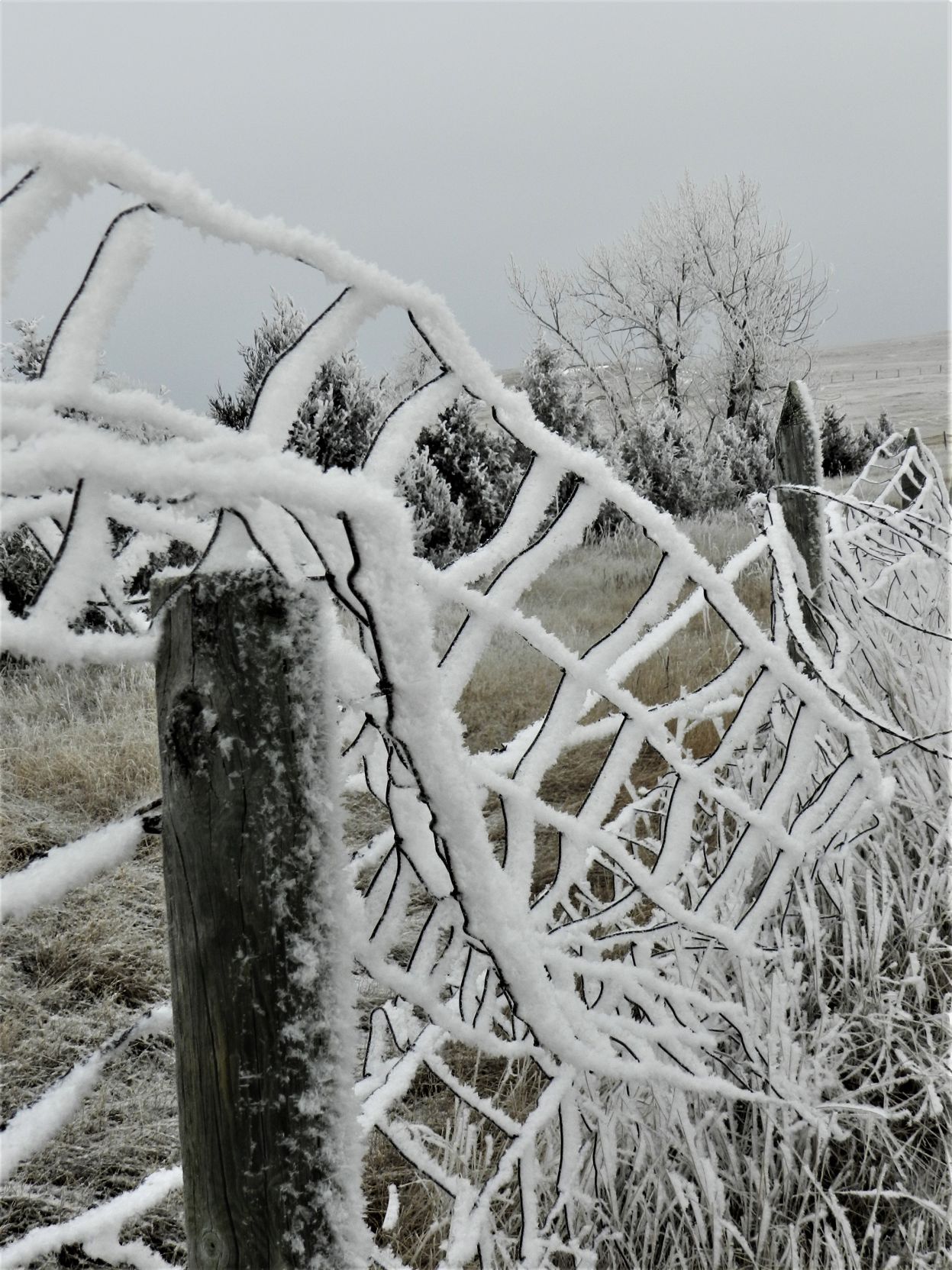 Crooked fence